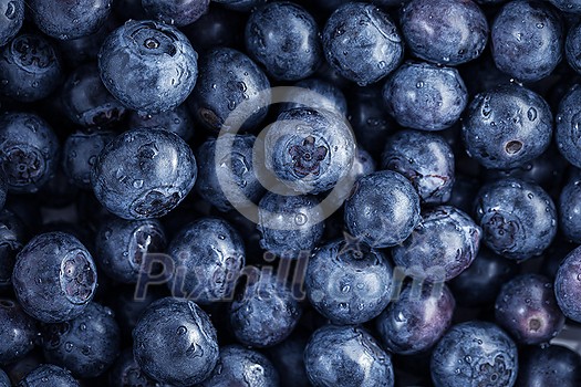 Fresh, ripe blueberries Fresh, ripe blueberries