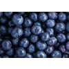Fresh, ripe blueberries