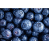 Fresh, ripe blueberries