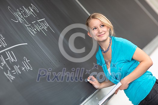 Pretty young college student or teacher washing the chalkboard/blackboa rd during class (shallow DOF; color toned image) Pretty young college student or teacher washing the chalkboard/blackboa rd during class (shallow DOF; color toned image)