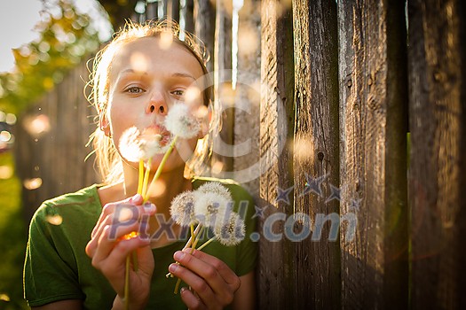 Portrait of happy young woman relaxing on a lovely summer day, playing with dandelions Portrait of happy young woman relaxing on a lovely summer day, playing with dandelions