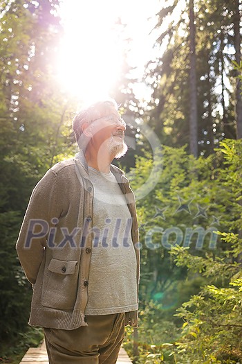 Senior man enjoying the outdoors, hiking, walking throught lovely nature Senior man enjoying the outdoors, hiking, walking throught lovely nature
