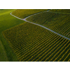 Aerial view over vineyard fields in Europe