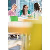 Group of university students studying hard for an exam in a lovely bright sunlit studying room/library