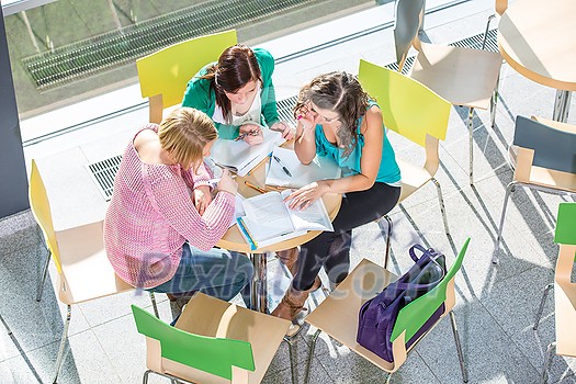 Group of university students studying hard for an exam in a lovely bright sunlit studying room/library Group of university students studying hard for an exam in a lovely bright sunlit studying room/library