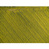 Farmland from above - aerial image of a lush green filed
