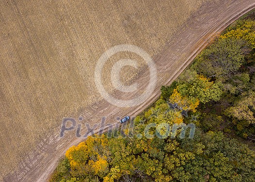 Top aerial panoramic view from a drone above dirt road across the agricultural field and moving car and forest area in an autumn season.