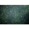 Rain falling from the sky, bringint the very needed humidity to the nature