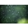 Rain falling from the sky, bringint the very needed humidity to the nature