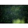 Rain falling from the sky, bringint the very needed humidity to the nature