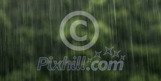 Rain falling from the sky, bringint the very needed humidity to the nature Rain falling from the sky, bringint the very needed humidity to the nature