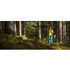 Pretty, young female hiker walking through a splendid old pine forest (shallow DOF)