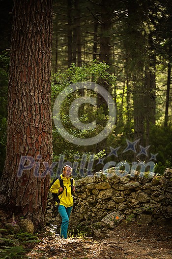 Pretty, young female hiker walking through a splendid old forest (shallow DOF)