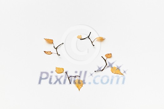 Autumnal composition with twigs and yellow leaves isolated on white, copy space Autumnal composition with twigs and yellow leaves isolated on white, copy space