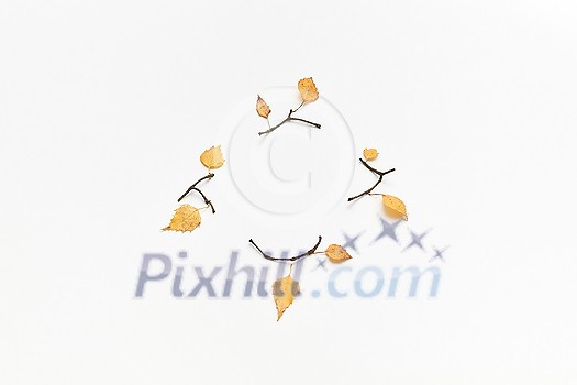 Autumnal composition with twigs and yellow leaves isolated on white, top view Autumnal composition with twigs and yellow leaves isolated on white, top view