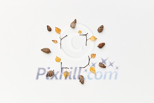 Autumnal composition with cones, twigs and yellow leaves isolated on white, flatlay Autumnal composition with cones, twigs and yellow leaves isolated on white, flatlay