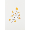 Autumnal composition with beautiful twigs and yellow leaves in shape of branch isolated on white, flatlay