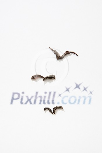 Dried dark autumnal leaves in shape of flying birds isolated on white, flatlay Dried dark autumnal leaves in shape of flying birds isolated on white, flatlay