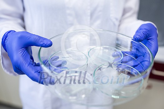 Hands of a female researcher carrying out research in a chemistry lab (color toned image; shallow DOF) Hands of a female researcher carrying out research in a chemistry lab (color toned image; shallow DOF)