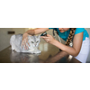 Sick cat being examined by a vet doctor in a veterinarian clinic