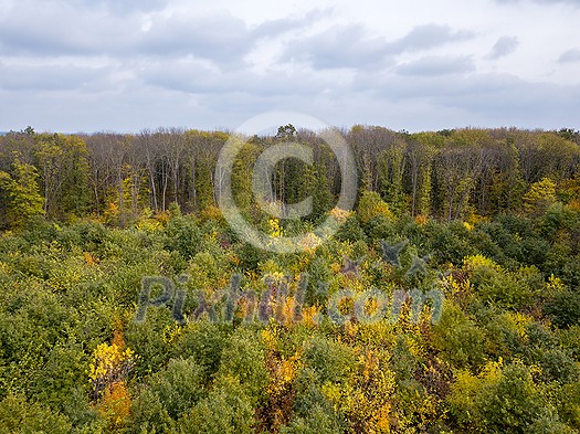 Rural panoramic landscape from the drone above forest area from young trees with yellow and green leaves on a background of cloudy grey sky. Rural panoramic landscape from the drone above forest area from young trees with yellow and green leaves on a background of cloudy grey sky.