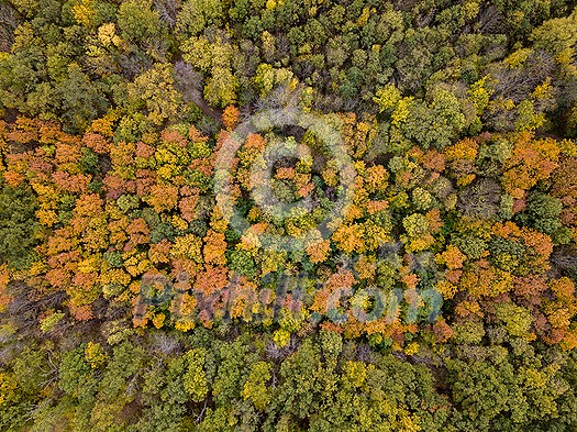 Top aerial view of the autumn panoramic landscape from the drone above forest area from colorful trees with yellow and green leaves. Top aerial view of the autumn panoramic landscape from the drone above forest area from colorful trees with yellow and green leaves.