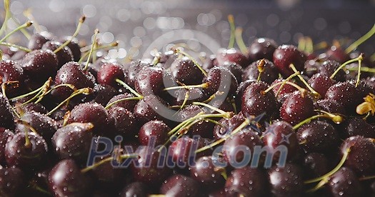 Close-up berry blurred cherry background with sunlight and beautiful bokeh. Water droplets glow on ripe berries. A sunbeam illuminates the red ripe cherries. Slow motion video in 4k. Soft focus. Close-up berry blurred cherry background with sunlight and beautiful bokeh. Water droplets glow on ripe berries. A sunbeam illuminates the red ripe cherries. Slow motion video in 4k. Soft focus.