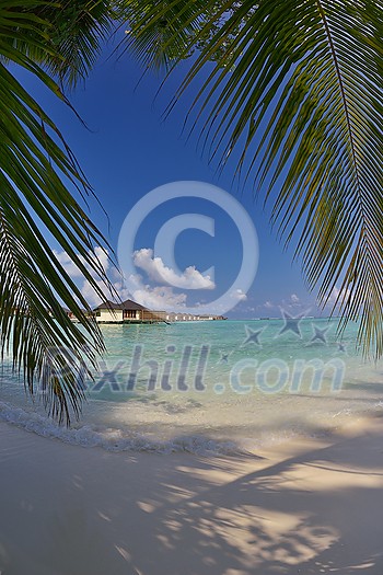 tropical beach with white sand at summer tropical beach with white sand at summer