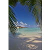 tropical beach with white sand at summer