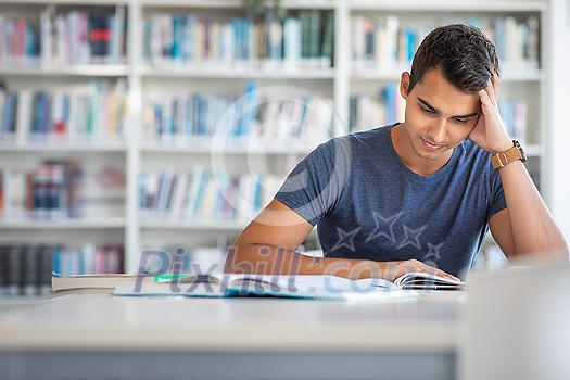 Students in a library - handsome student reading a book for his class in a bright modern library Students in a library - handsome student reading a book for his class in a bright modern library