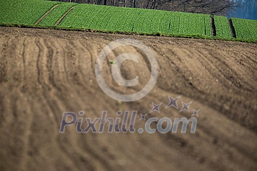Agricultural landscape, arable crop field. Arable land is the land under temporary agricultural Agricultural landscape, arable crop field. Arable land is the land under temporary agricultural
