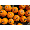 pumpkin healthy organic food  background at autumn season on market ready for helloween holiday