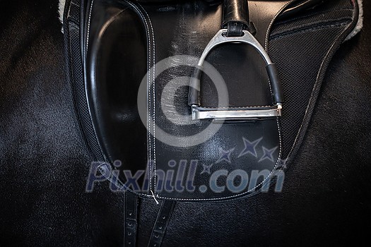 Woman riding a horse. Equestrian sport, leisure horse riding concept Woman riding a horse. Equestrian sport, leisure horse riding concept