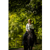 Woman riding a horse. Equestrian sport, leisure horse riding concept