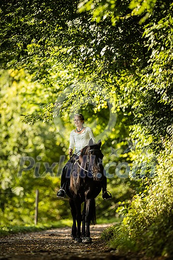 Woman riding a horse. Equestrian sport, leisure horse riding concept Woman riding a horse. Equestrian sport, leisure horse riding concept
