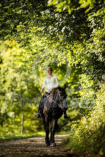 Woman riding a horse. Equestrian sport, leisure horse riding concept Woman riding a horse. Equestrian sport, leisure horse riding concept