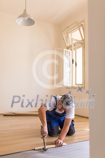 DIY, repair, building and home concept - senior man lying parquet floor board/laminate flooring (shallow DOF; color toned image) DIY, repair, building and home concept - senior man lying parquet floor board/laminate flooring (shallow DOF; color toned image)