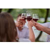 group of happy friends toasting red wine glass while having picnic french dinner party outdoor during summer holiday vacation near the river at beautiful nature