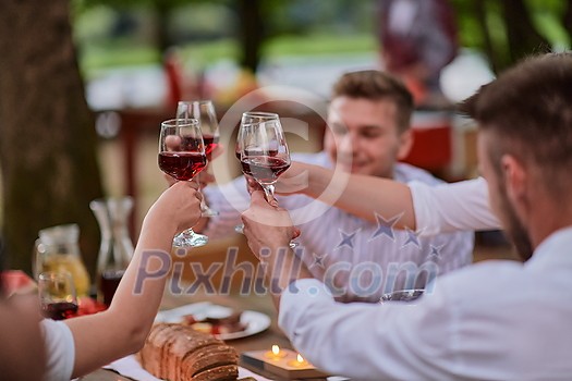 group of happy friends toasting red wine glass while having picnic french dinner party outdoor during summer holiday vacation near the river at beautiful nature group of happy friends toasting red wine glass while having picnic french dinner party outdoor during summer holiday vacation near the river at beautiful nature