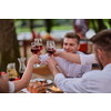 group of happy friends toasting red wine glass while having picnic french dinner party outdoor during summer holiday vacation near the river at beautiful nature
