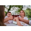 group of happy friends toasting red wine glass while having picnic french dinner party outdoor during summer holiday vacation near the river at beautiful nature