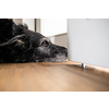 A sad looking dog is waiting for his master to stop working and take him for a walk. A large breed dog looks sad and lonely at home.