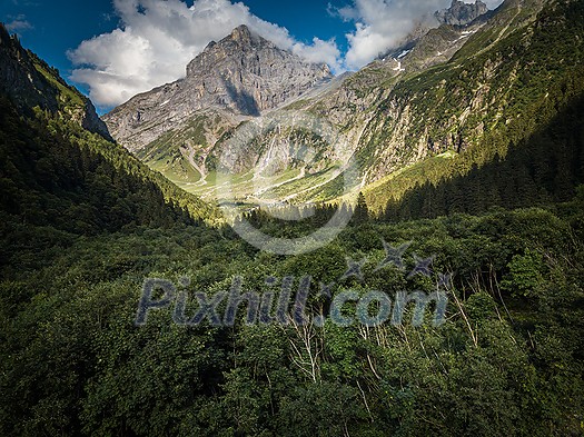 Aerial top view of summer green trees in forest with a splendid mountain river in Swiss Alps Aerial top view of summer green trees in forest with a splendid mountain river in Swiss Alps