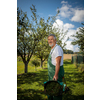 Senior gardenr gardening in his permaculture garden