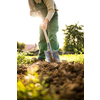 Senior gardenr gardening in his permaculture garden -  holding a splendid Savoy Cabbage head