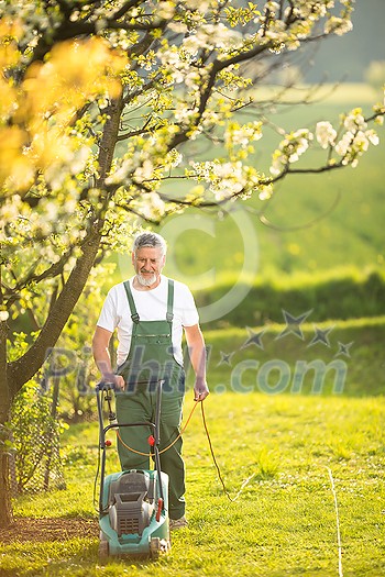 Portrait of senior man gardening, taking care of his lovely orchard, ejoying actively his retirement Portrait of senior man gardening, taking care of his lovely orchard, ejoying actively his retirement