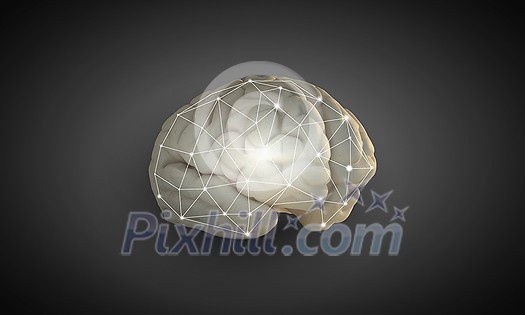 Science image with human brain on gray background Science image with human brain on gray background