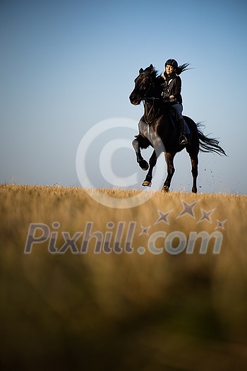 Female horse rider riding outdoors on her lovely horse Female horse rider riding outdoors on her lovely horse