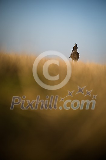 Female horse rider riding outdoors on her lovely horse Female horse rider riding outdoors on her lovely horse