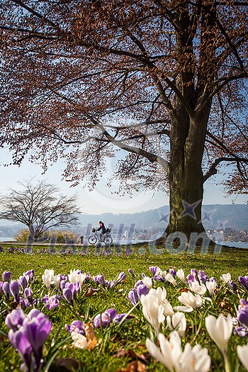 Spring has come - lovely spring day in Zurich, Switzerland Spring has come - lovely spring day in Zurich, Switzerland
